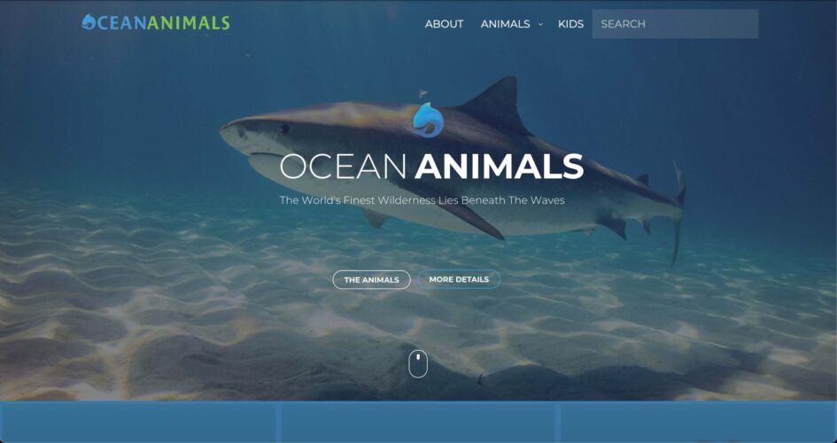 Ocean-Animals-Portfolio-1