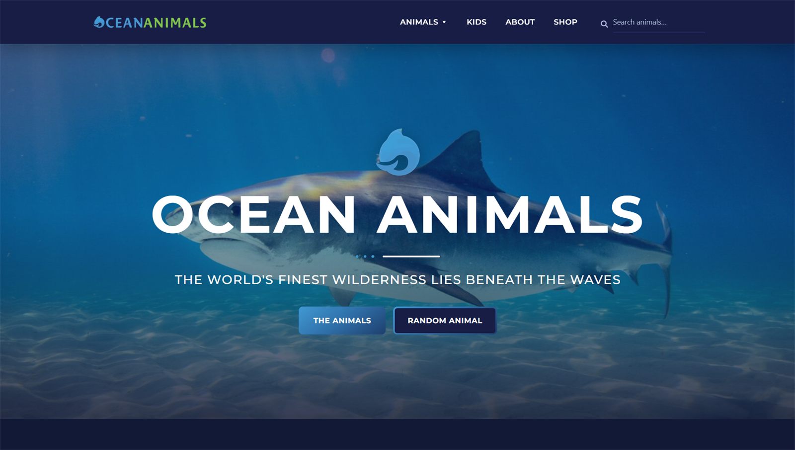 Ocean Animals website homepage, designed by Joel Mellor